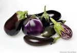 PLANT OF THE WEEK / Eggplant is a shapely, colorful and sexl